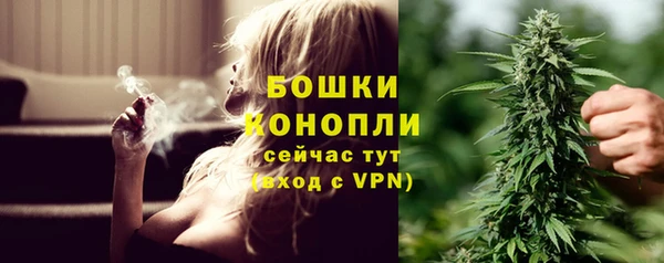 Альфа ПВП Пестово