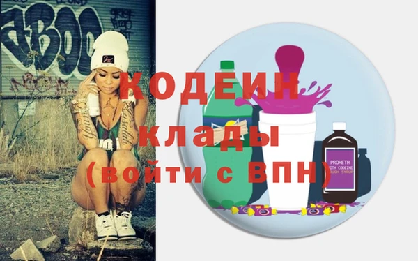 индика Абинск